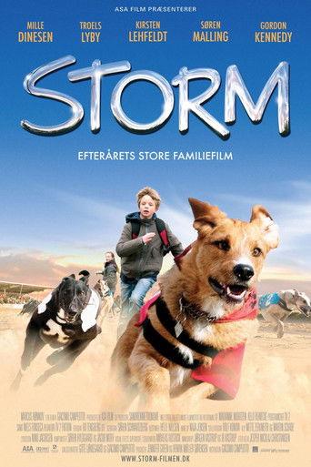 Storm film afişi
