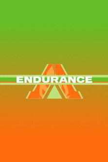 Endurance dizi afişi