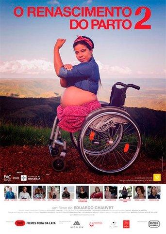 The Birth Reborn 2 film afişi