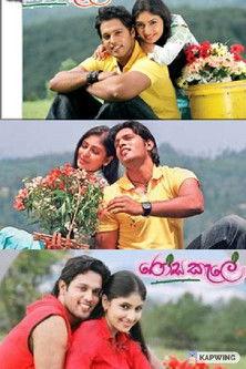 Rosa Kale film afişi