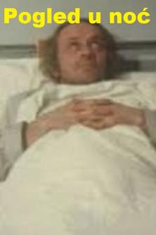 Looking Into the Night film afişi