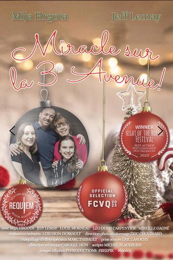 Miracle on 3rd Avenue! film afişi