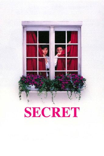 Secret film afişi