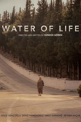 Water of Life film afişi