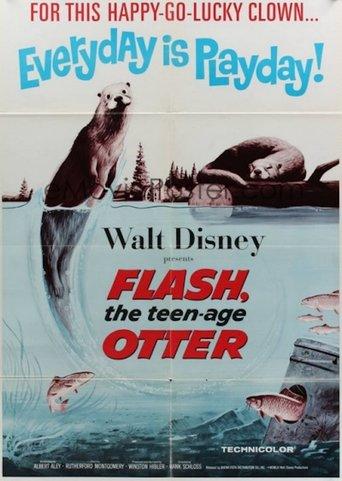 Flash, The Teenage Otter film afişi