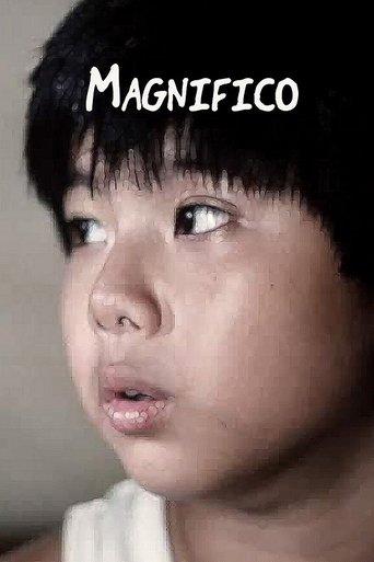 Magnifico film afişi
