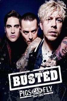 Busted: Pigs Can Fly Tour 2016 film afişi