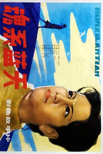 魂系蓝天 film afişi