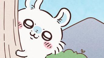 Nut Cracking / Nut Drinking