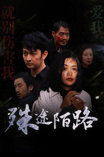 殊途陌路 film afişi