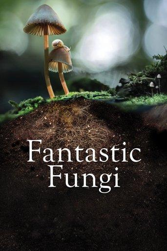 Fantastic Fungi film afişi