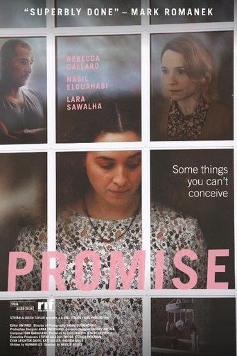 Promise film afişi