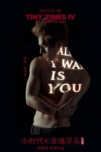 Tiny Times 4 film afişi