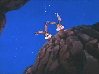 Journey to the Center of Acme Acres