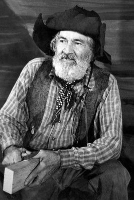 The Gabby Hayes Show dizi afişi