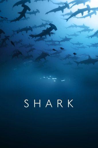 Shark dizi afişi