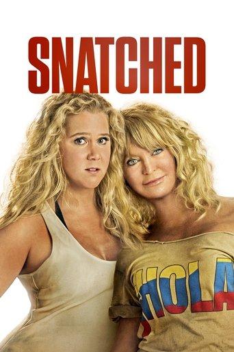 Snatched film afişi
