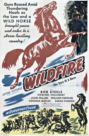Wildfire film afişi