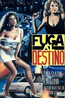 Fuga al destino film afişi
