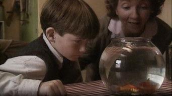 Big Fish, Little Fish