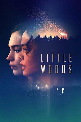 Little Woods film afişi