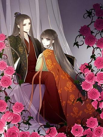 帝王侧 动态漫 dizi afişi