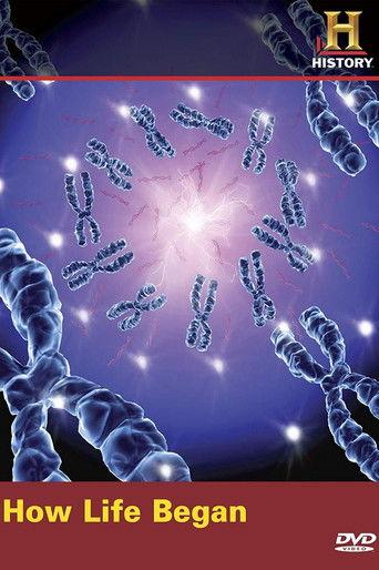 How Life Began film afişi