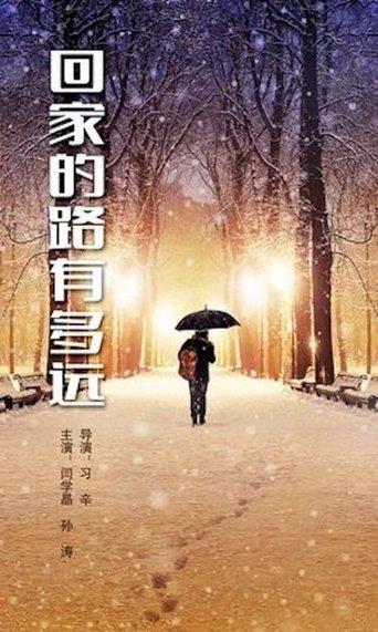 回家的路有多远 dizi afişi