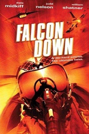 Falcon Down film afişi