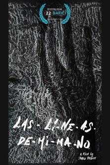 las-líneas-de-mi-mano film afişi