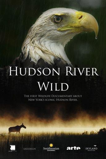 Hudson River Wild film afişi
