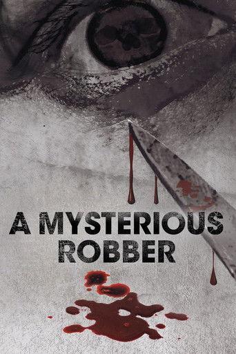 A Mysterious Robber film afişi
