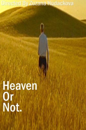 Heaven Or Not film afişi