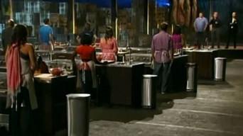 Auditions (3) and Top 36 Bootcamp