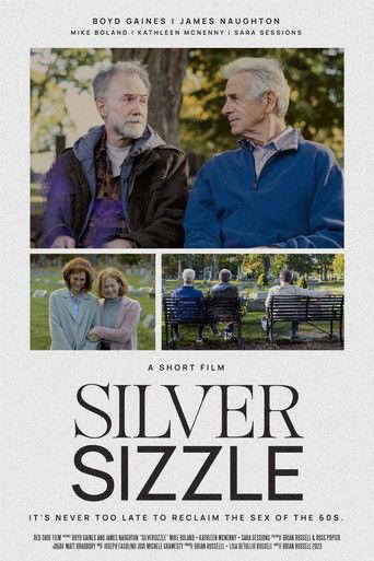 SilverSizzle film afişi