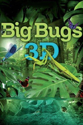 Big Bugs film afişi