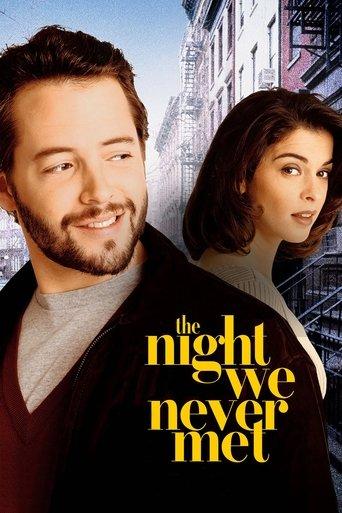 The Night We Never Met film afişi