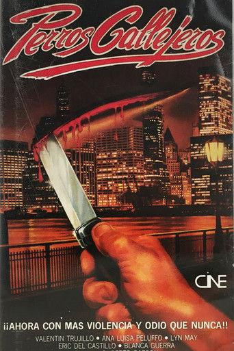 Perro callejero film afişi