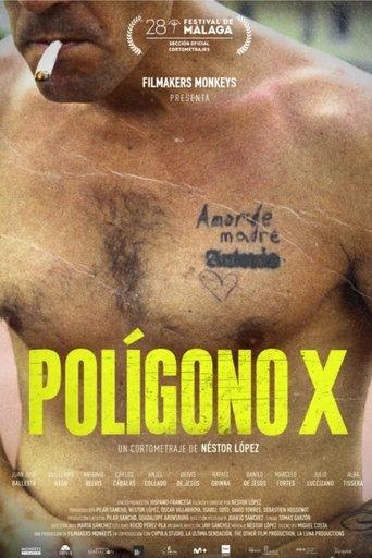 Polígono X film afişi