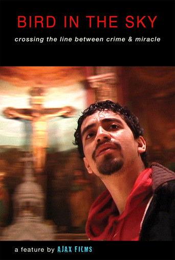 BIRD IN THE SKY film afişi