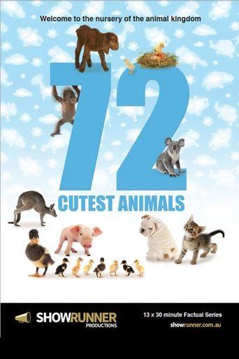 72 Cutest Animals dizi afişi