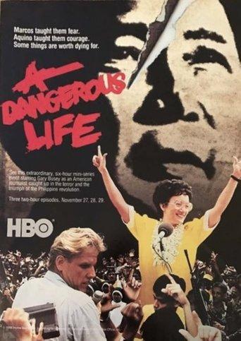 A Dangerous Life dizi afişi