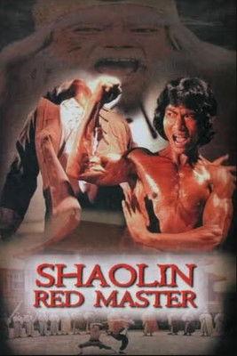 Shaolin Tough Kid film afişi