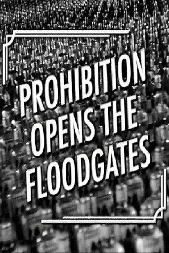 Prohibition Opens the Floodgates film afişi