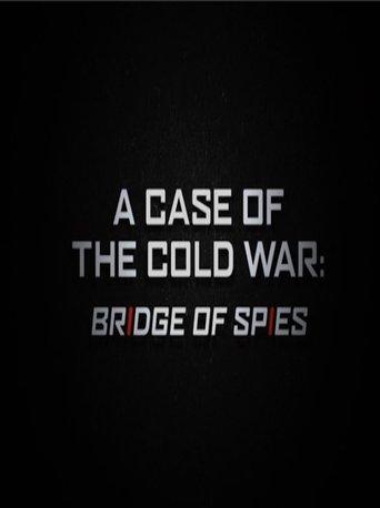 A Case of the Cold War: Bridge of Spies film afişi