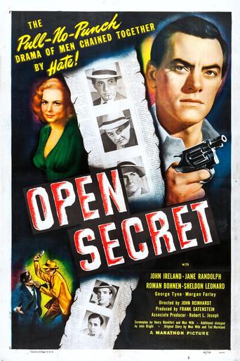 Open Secret film afişi