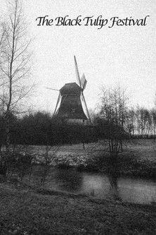 The Black Tulip Festival film afişi