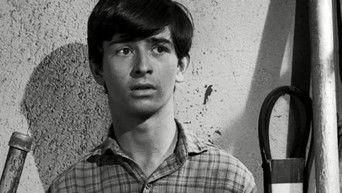 The Old Man Picked a Lemon