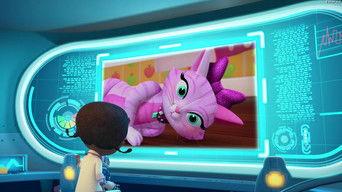 Willow's Wonky Whiskers