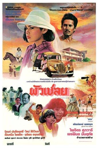 ผัวเชลย film afişi
